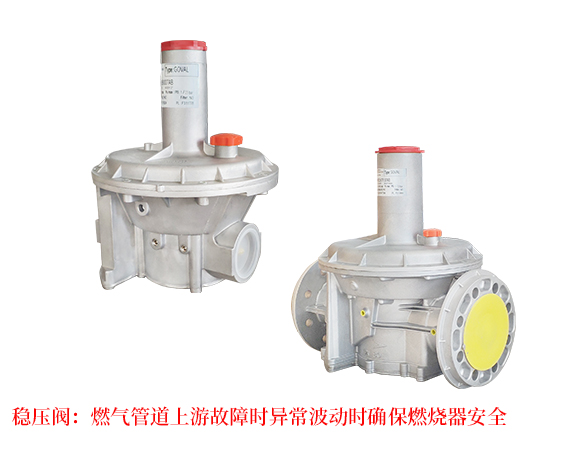 菲奧 FIORENTINI 天然氣穩壓閥燃氣減壓閥天然氣減壓閥燃氣穩壓閥3006306230653068